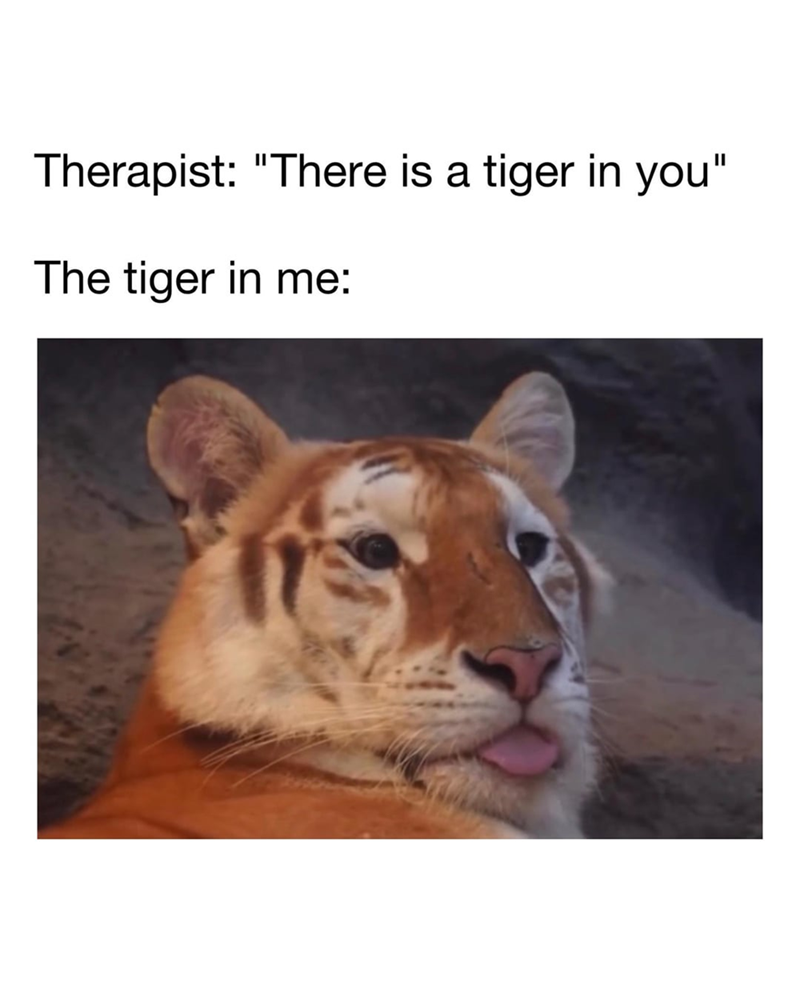 Therapist: "There is a tiger in you" The tiger in me: