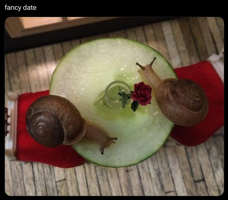 fancy date