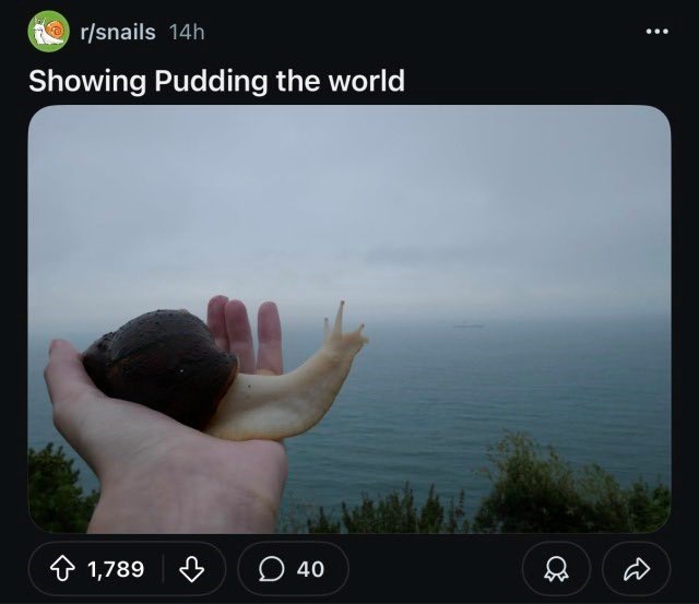 r/snails 14h Showing Pudding the world 1,789 40