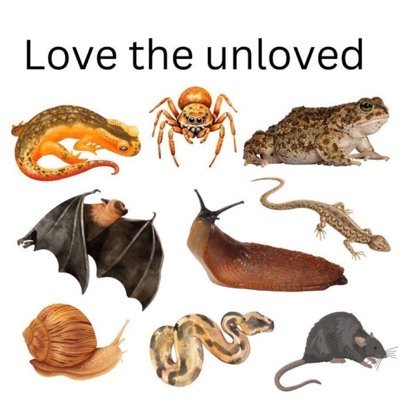 Love the unloved 2