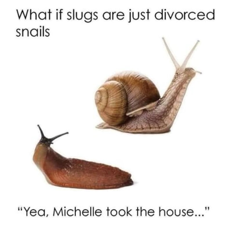 What if slugs are just divorced snails "Yea, Michelle took the house..."