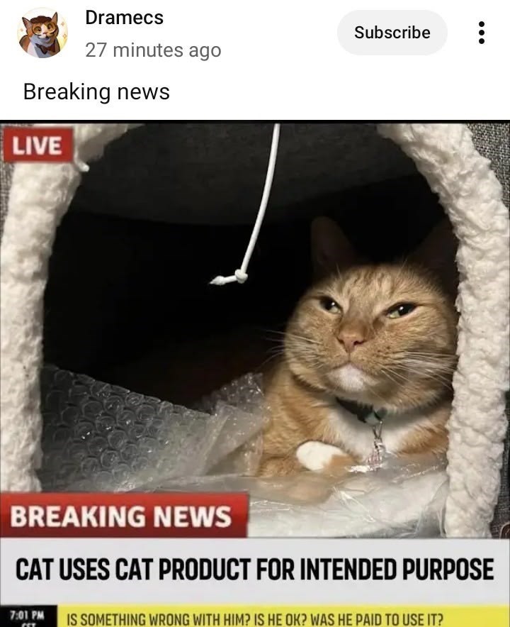 Dramecs Subscribe 27 minutes ago Breaking news LIVE BREAKING NEWS CAT USES CAT PRODUCT FOR INTENDED PURPOSE 7:01 PM IS SOMETHING WRONG WITH HIM? IS HE OK? WAS HE PAID TO USE IT?