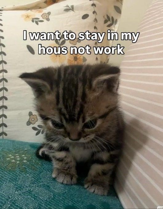 I want to stay in my hous not work