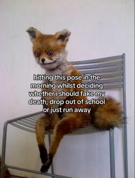 hitting this pose in the morning whilst deciding whether i should fake my death, drop out of school or just run away