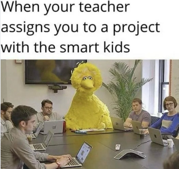 When your teacher assigns you to a project with the smart kids