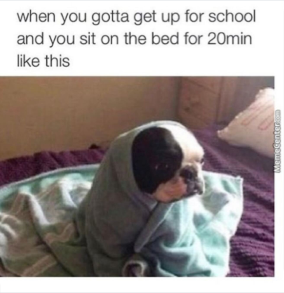 when you gotta get up for school and you sit on the bed for 20min like this Memecenter.com