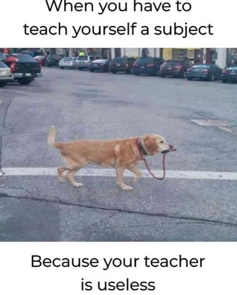 When you have to teach yourself a subject Because your teacher is useless