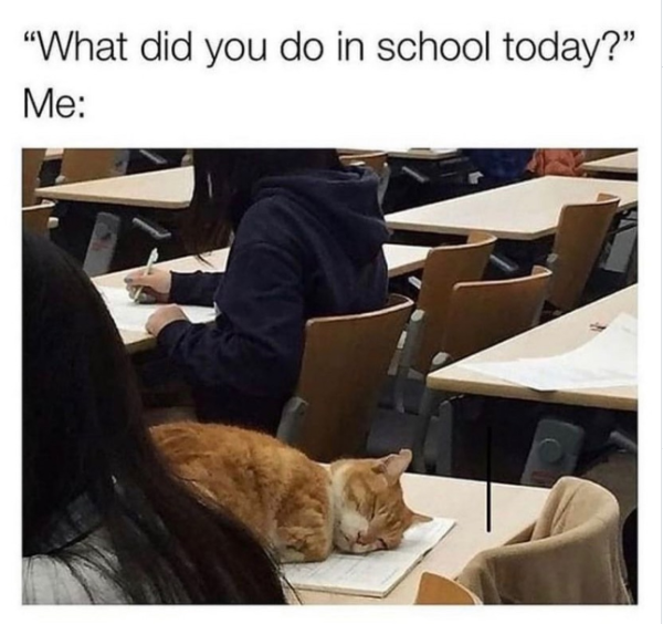 "What did you do in school today?" Me: