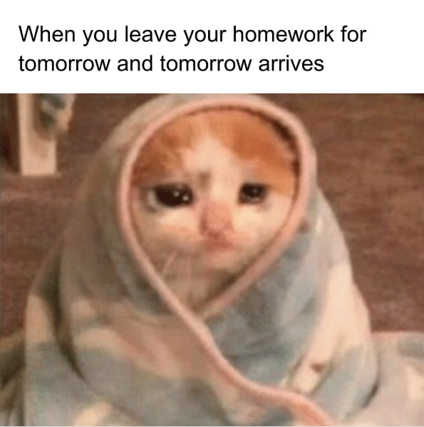 When you leave your homework for tomorrow and tomorrow arrives