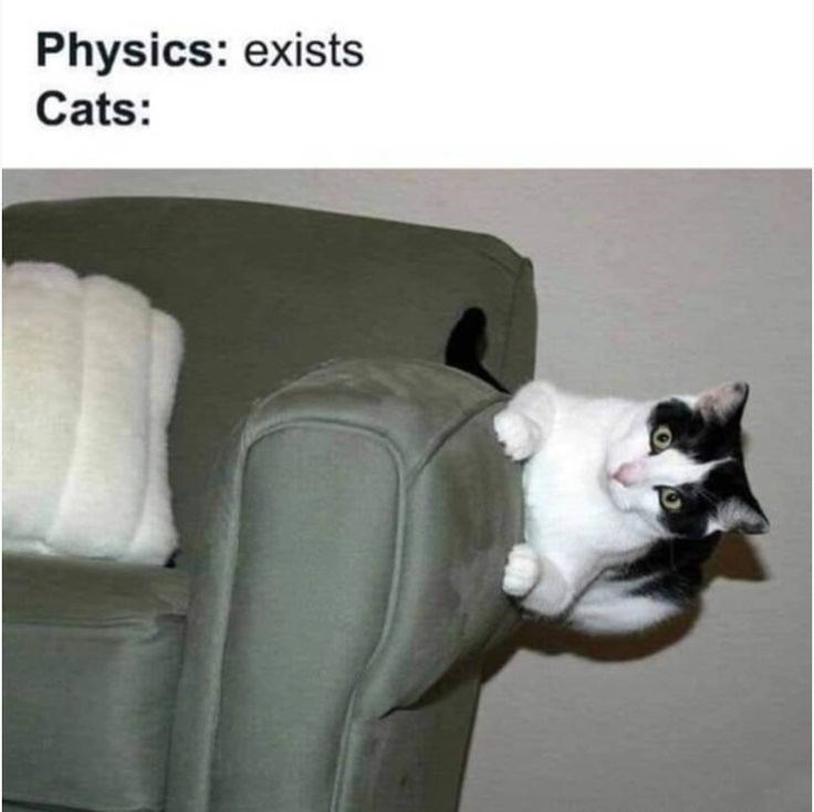 Physics: exists Cats: