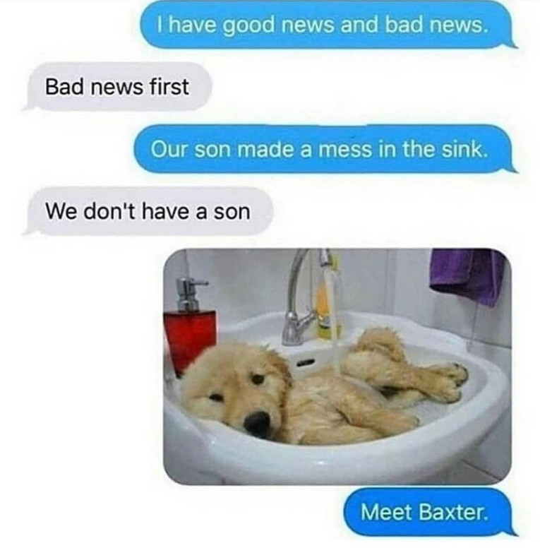 I have good news and bad news. Bad news first Our son made a mess in the sink. We don't have a son Meet Baxter.