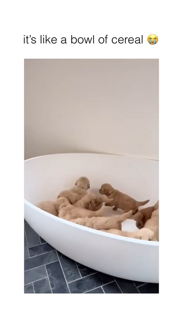 it's like a bowl of cereal