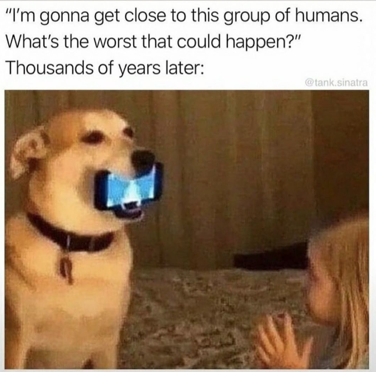 "I'm gonna get close to this group of humans. What's the worst that could happen?" Thousands of years later: @tank.sinatra