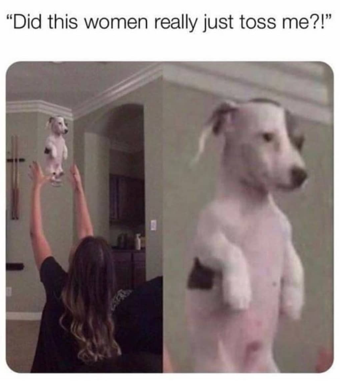 "Did this women really just toss me?!"