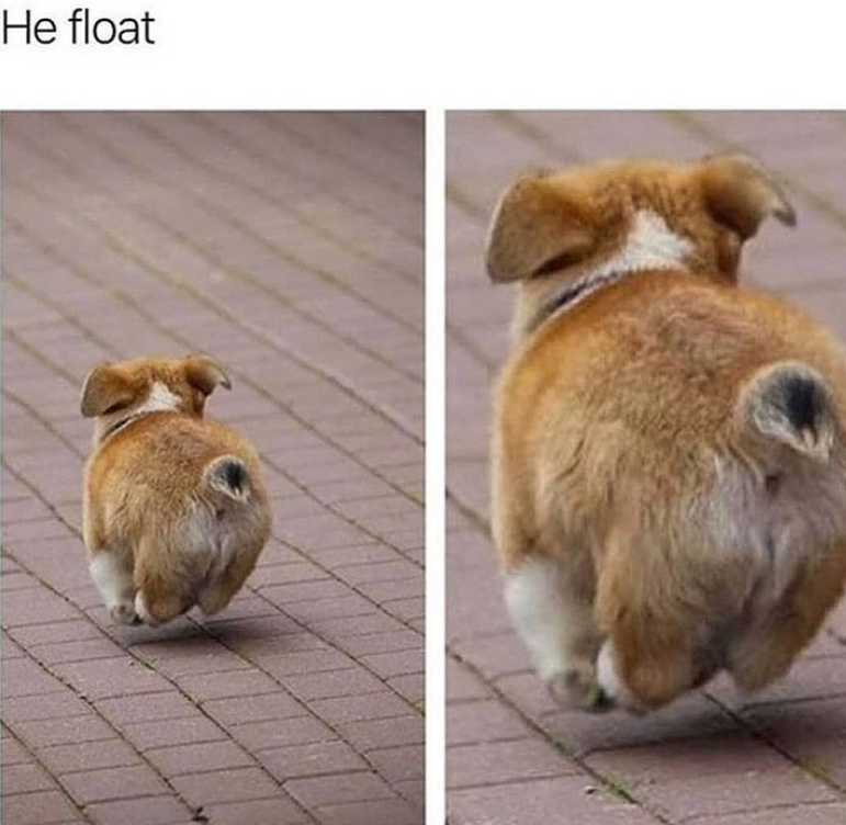 He float