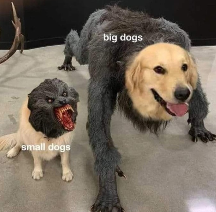 tegor small dogs big dogs