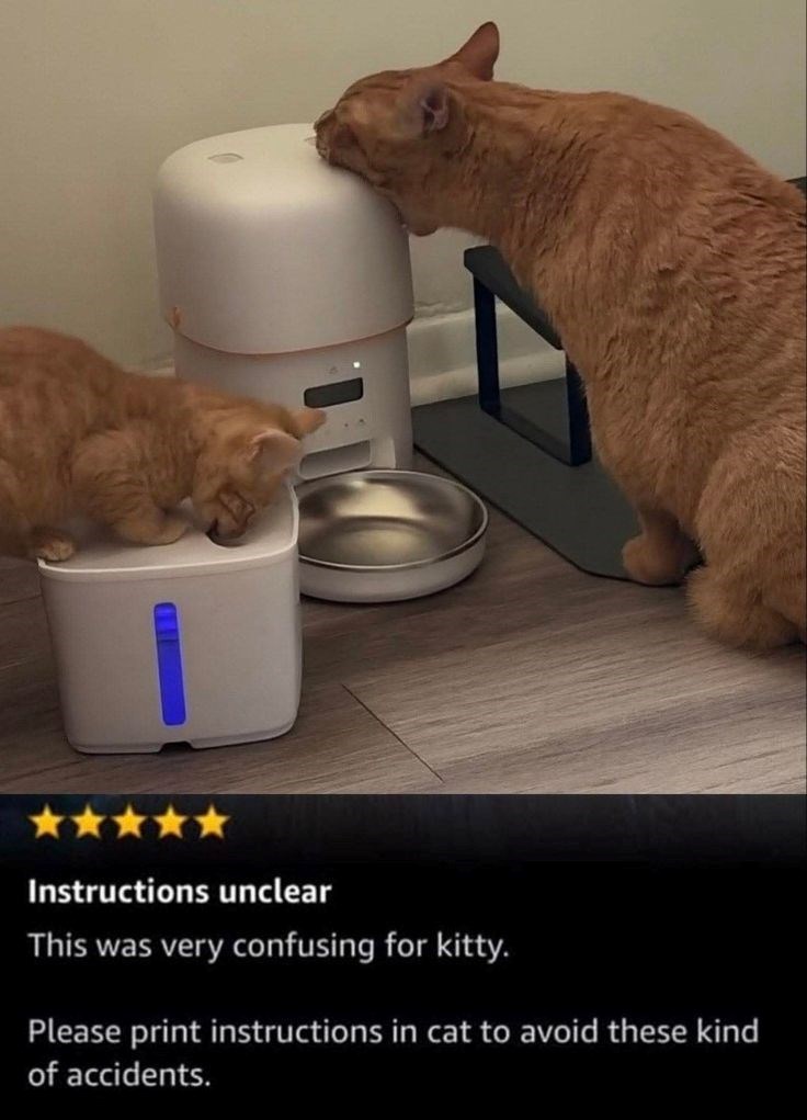 Instructions unclear This was very confusing for kitty. Please print instructions in cat to avoid these kind of accidents.