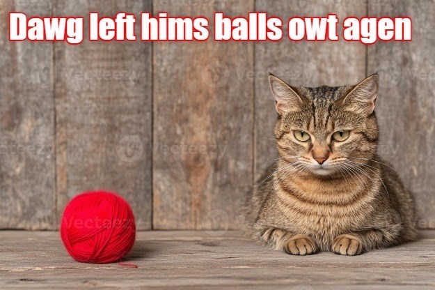 Cheezburger Image 10622131456