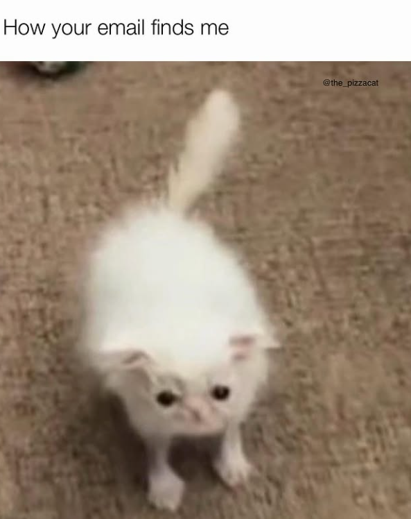 How your email finds me @the_pizzacat