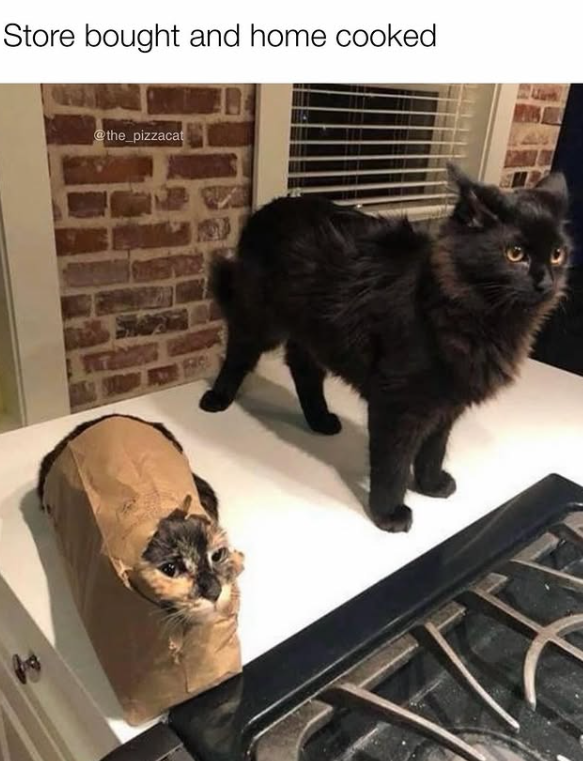 Store bought and home cooked @the_pizzacat