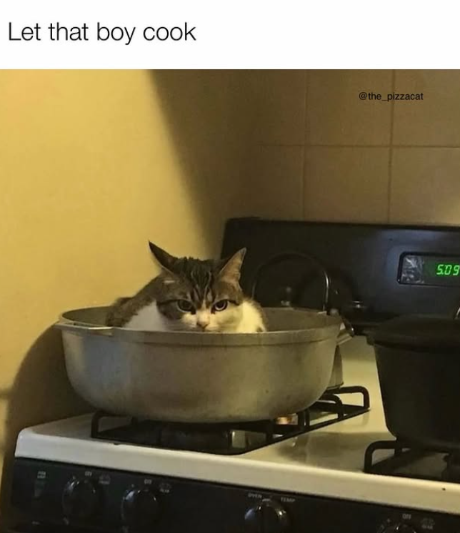 Let that boy cook TEM @the_pizzacat 509