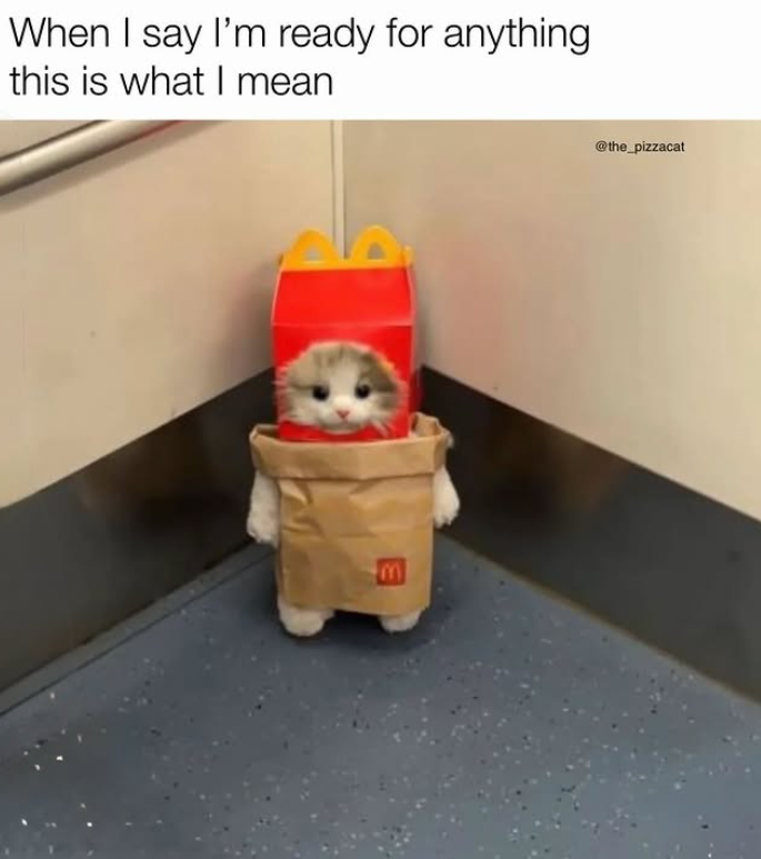 When I say I'm ready for anything this is what I mean @the_pizzacat E