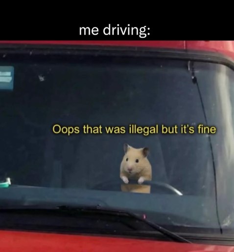 me driving: Oops that was illegal but it's fine