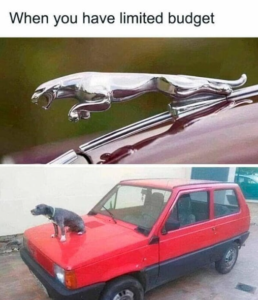 When you have limited budget