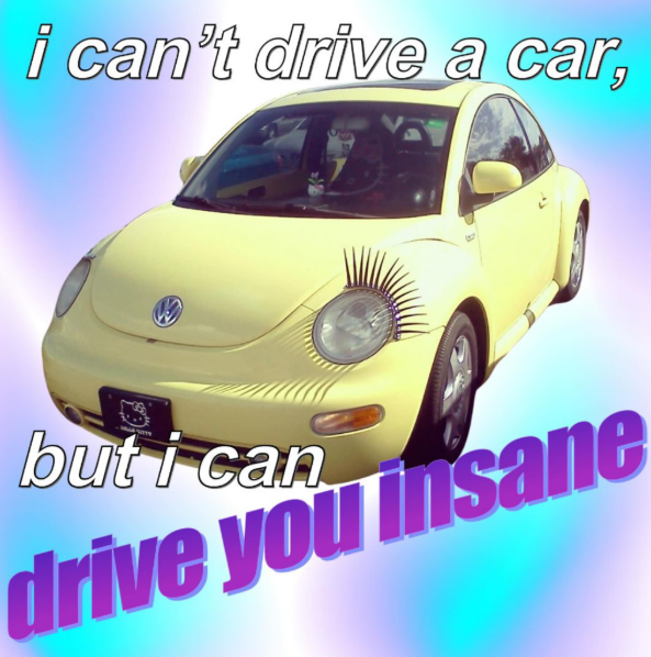i can't drive a car, but i can drive you insane