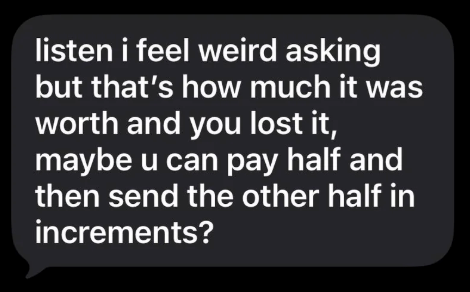 listen i feel weird asking but that's how much it was worth and you lost it, maybe u can pay half and then send the other half in increments?
