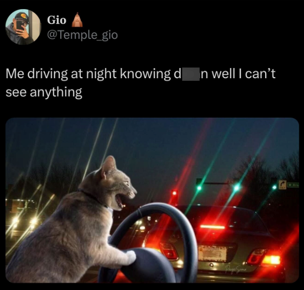 Gio @Temple_gio Me driving at night knowing dan well I can't see anything Фидобита WBre