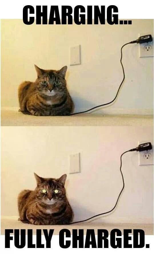 CHARGING... FULLY CHARGED.
