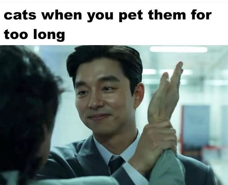 cats when you pet them for too long