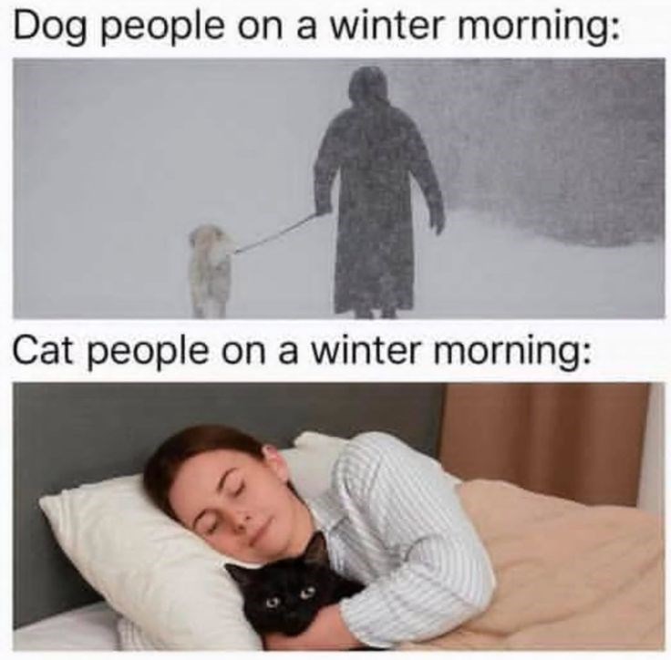 Dog people on a winter morning: Cat people on a winter morning: