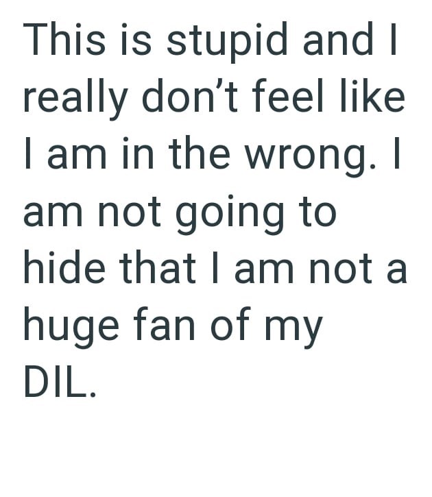 This is stupid and I really don't feel like I am in the wrong. I am not going to hide that I am not a huge fan of my DIL.