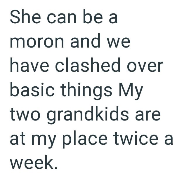 She can be a moron and we have clashed over basic things My two grandkids are at my place twice a week.