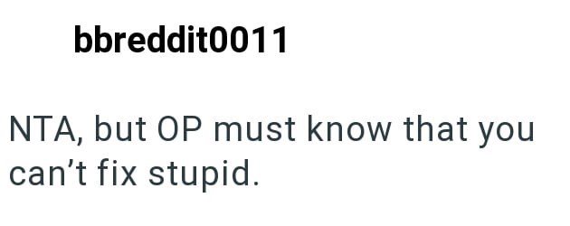 bbreddit0011 NTA, but OP must know that you can't fix stupid.