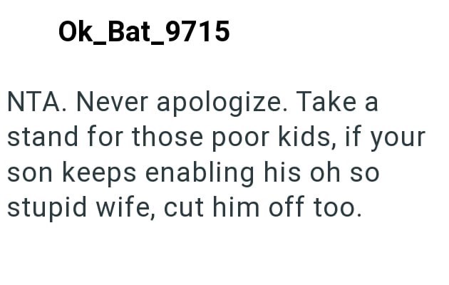 Ok_Bat_9715 NTA. Never apologize. Take a stand for those poor kids, if your son keeps enabling his oh so stupid wife, cut him off too.