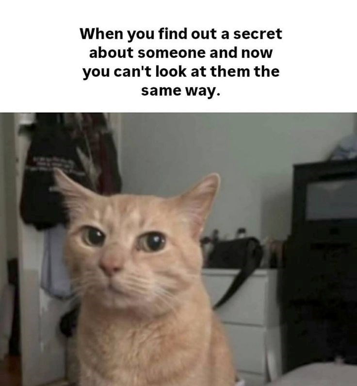 When you find out a secret about someone and now you can't look at them the same way.