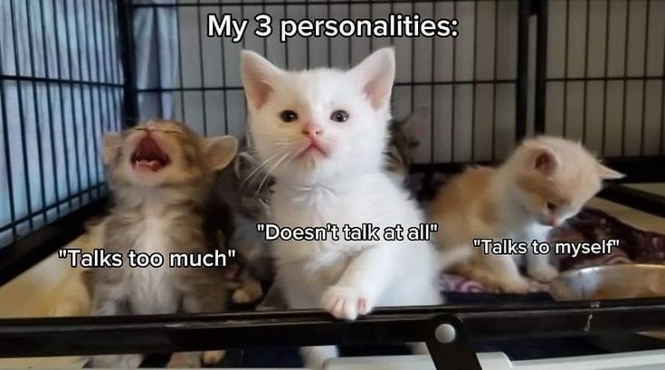My 3 personalities: "Doesn't talk at all" "Talks to myself" "Talks too much"