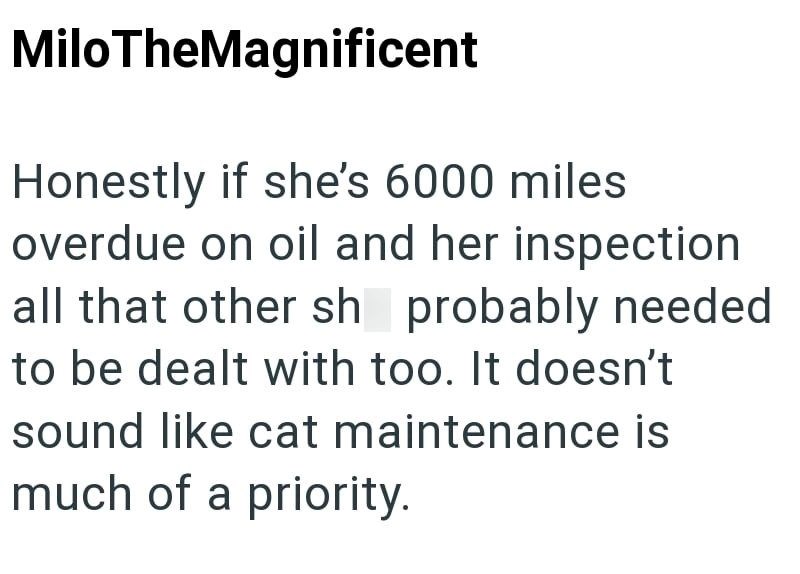 MiloTheMagnificent Honestly if she's 6000 miles overdue on oil and her inspection all that other sh probably needed to be dealt with too. It doesn't sound like cat maintenance is much of a priority.