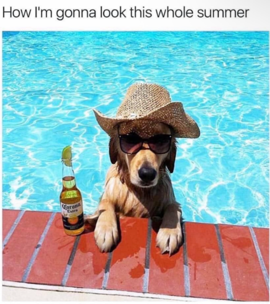 How I'm gonna look this whole summer Corona Extre