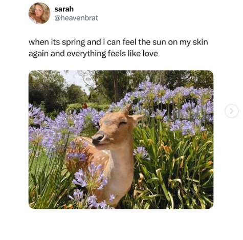 sarah @heavenbrat when its spring and i can feel the sun on my skin again and everything feels like love >