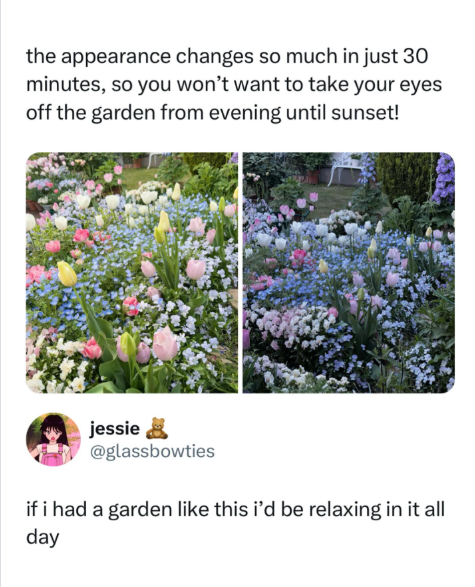 the appearance changes so much in just 30 minutes, so you won't want to take your eyes off the garden from evening until sunset! jessie ☑ @glassbowties if i had a garden like this i'd be relaxing in it all day
