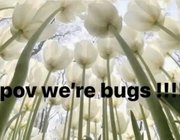 pov we're bugs I