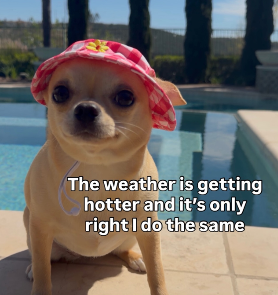 The weather is getting hotter and it's only right I do the same