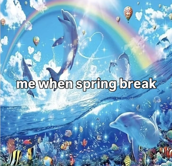 me when spring break