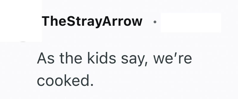 TheStrayArrow . As the kids say, we're cooked.