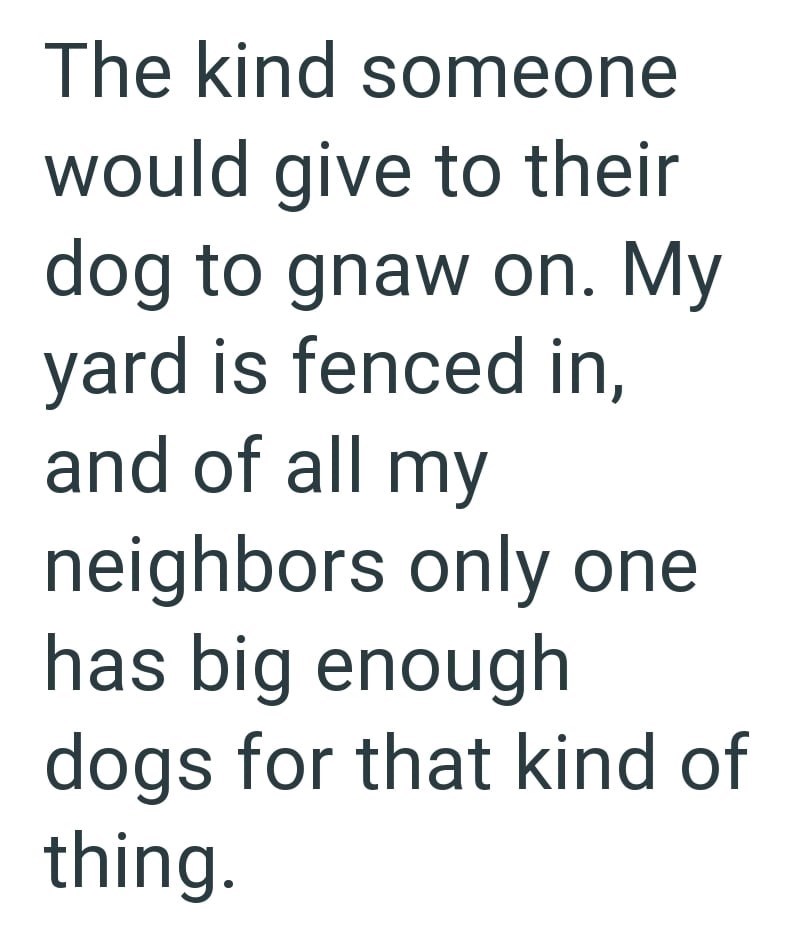 The kind someone would give to their dog to gnaw on. My yard is fenced in, and of all my neighbors only one has big enough dogs for that kind of thing.