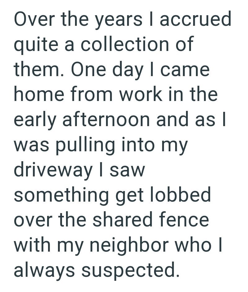 Over the years I accrued quite a collection of them. One day I came home from work in the early afternoon and as I was pulling into my driveway I saw something get lobbed over the shared fence with my neighbor who I always suspected.